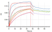 Biotinylated Human Nectin-2 (C-6His-Avi)