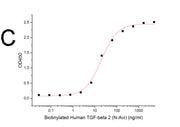 Biotinylated Human TGF-beta 2 (N-Avi)