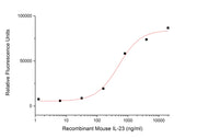 Recombinant Mouse IL-23