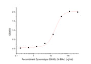 Recombinant Cynomolgus OX40L (N-8His)