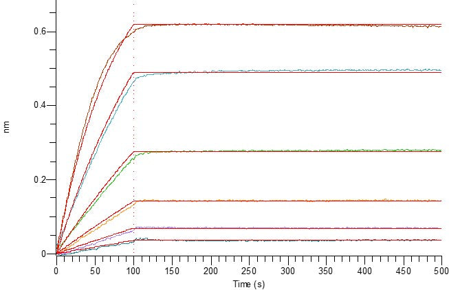 Recombinant Human 4-1BBL (C-6His)