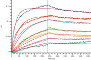 Recombinant Human ST2 (C-6His)