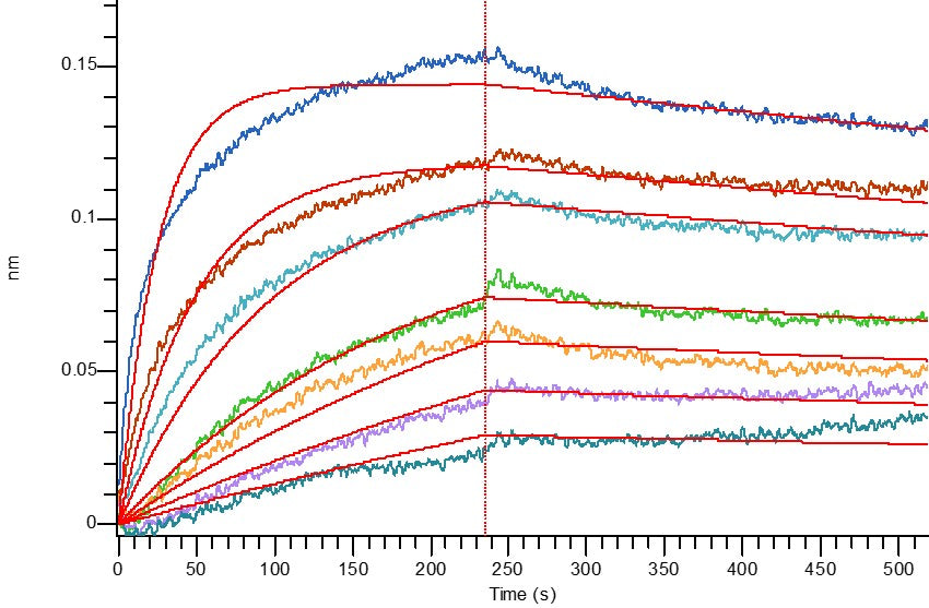 Recombinant Human ST2 (C-6His)
