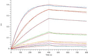 Recombinant Human TIGIT (C-6His)
