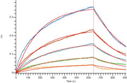 Recombinant Human OX40 (C-Fc)