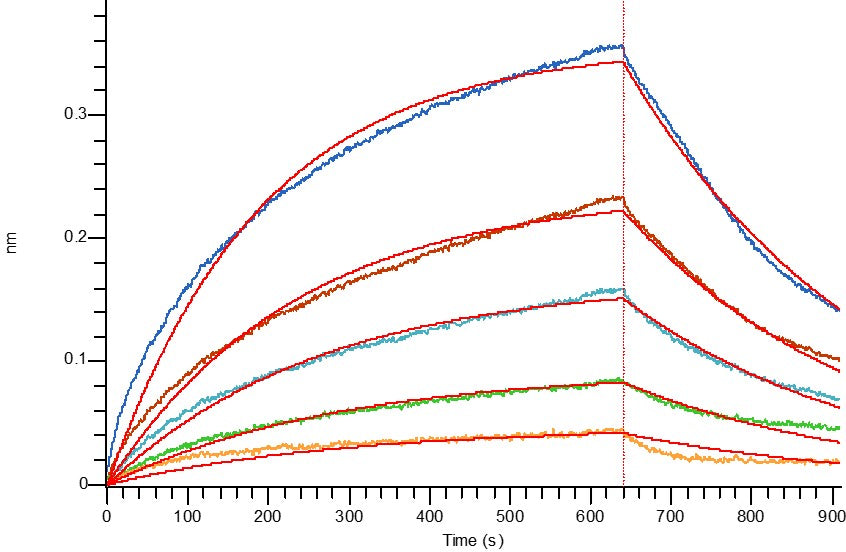 Recombinant Human OX40 (C-Fc)