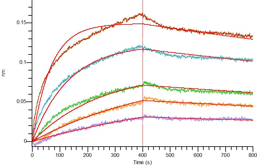 Recombinant Mouse ST2 (V192A, C-Fc)
