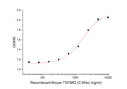 Recombinant Mouse TGFBR2 (C-6His)