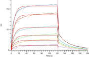 Recombinant Human PD-L1 (C-Flag)