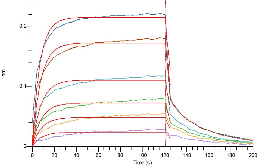 Recombinant Human PD-L1 (C-Flag)