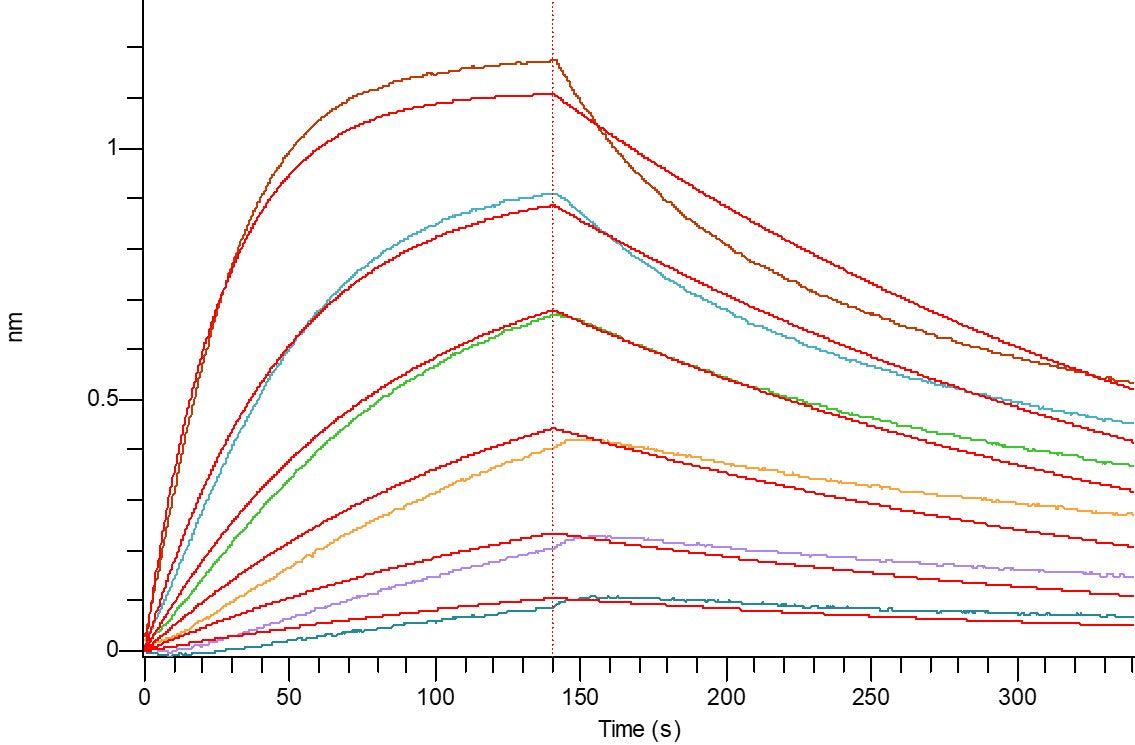 Recombinant Human PD-L1 (C-Fc)