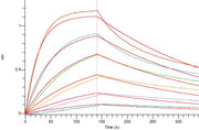 Recombinant Human PD-L1 (C-Fc)
