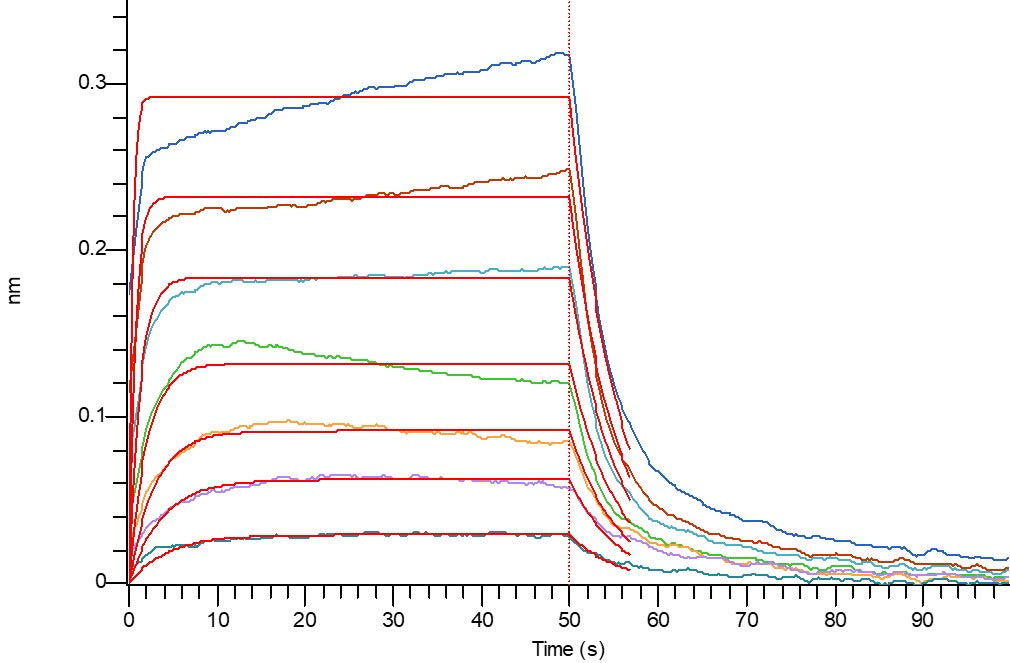 Recombinant Mouse B7-1 (C-6His)