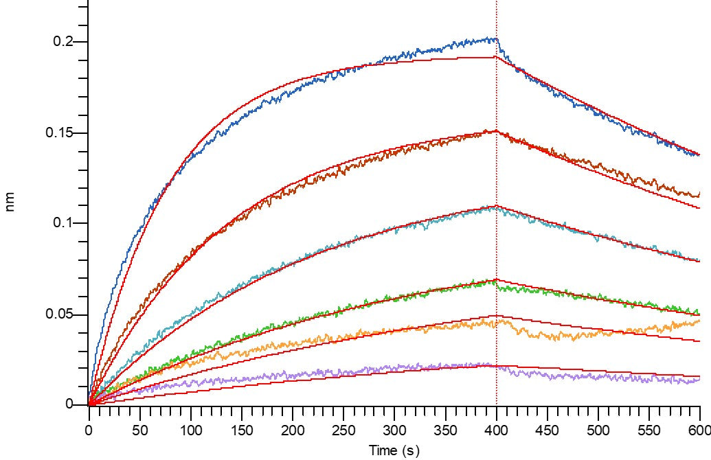 Recombinant Human IL-23R (C-6His)