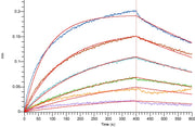 Recombinant Human IL-23R (C-6His)