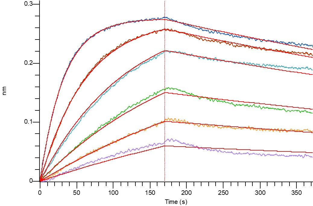 Recombinant Cynomolgus TIGIT (C-6His)