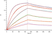 Recombinant Cynomolgus TIGIT (C-6His)