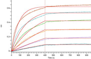 Biotinylated Human PD-L1 (C-Fc-Avi)
