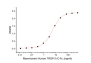 Recombinant Human TROP-2 (C-Fc)
