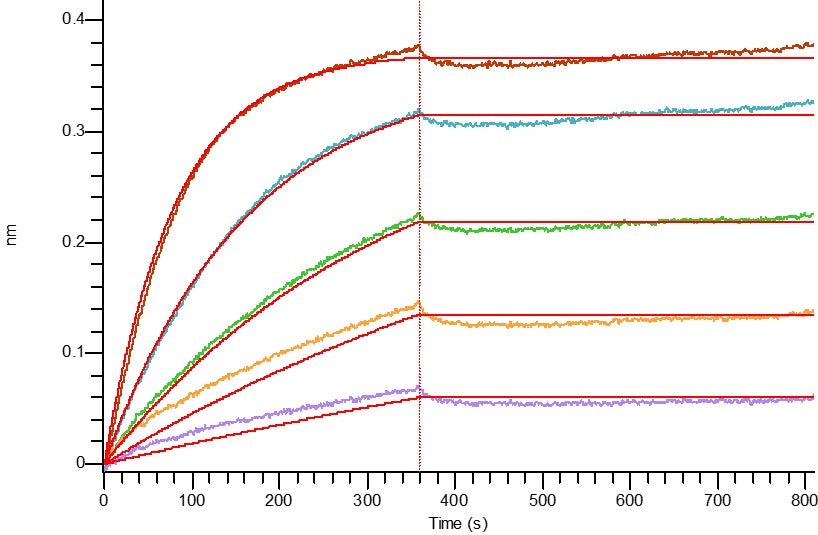 Recombinant Human IL-17RA (C-6His)