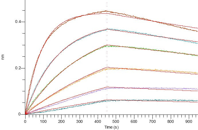 Recombinant Human 4-1BB (C-mFc)