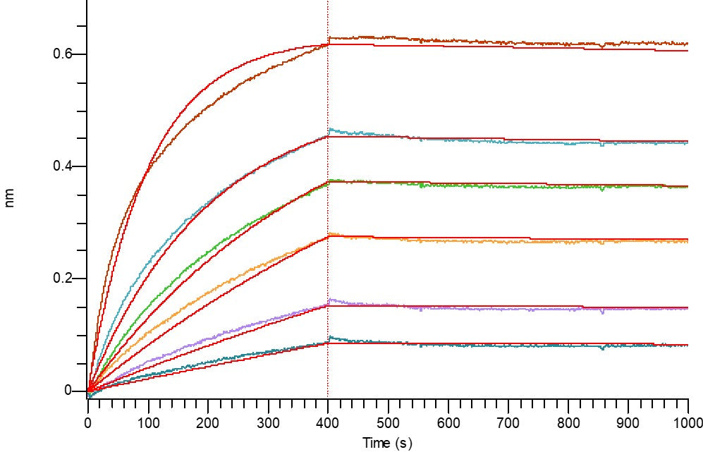 Recombinant Human CD73 (P21589, C-6His)