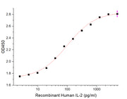 Recombinant Human IL-2 (C-6His)