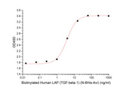 Biotinylated Human LAP (TGF-beta 1) (N-6His-Avi)