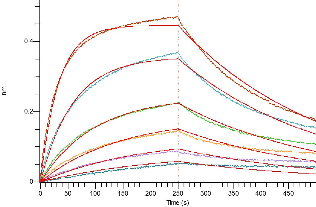 Biotinylated Human PD-L2 (C-6His-Avi)