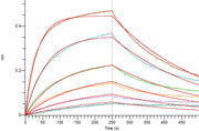 Biotinylated Human PD-L2 (C-6His-Avi)