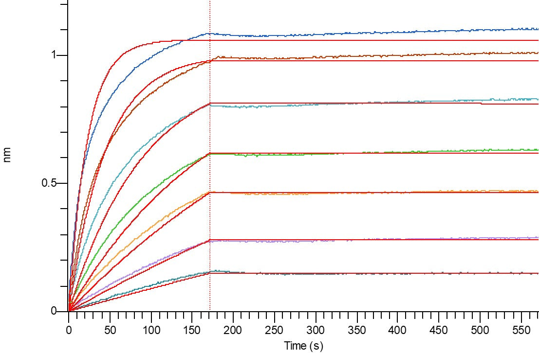Biotinylated Human/Cynomolgus CD28 (C-Fc-Avi)