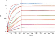 Biotinylated Human/Cynomolgus CD28 (C-Fc-Avi)