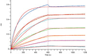 Biotinylated Human VEGFR2 (C-6His-Avi)