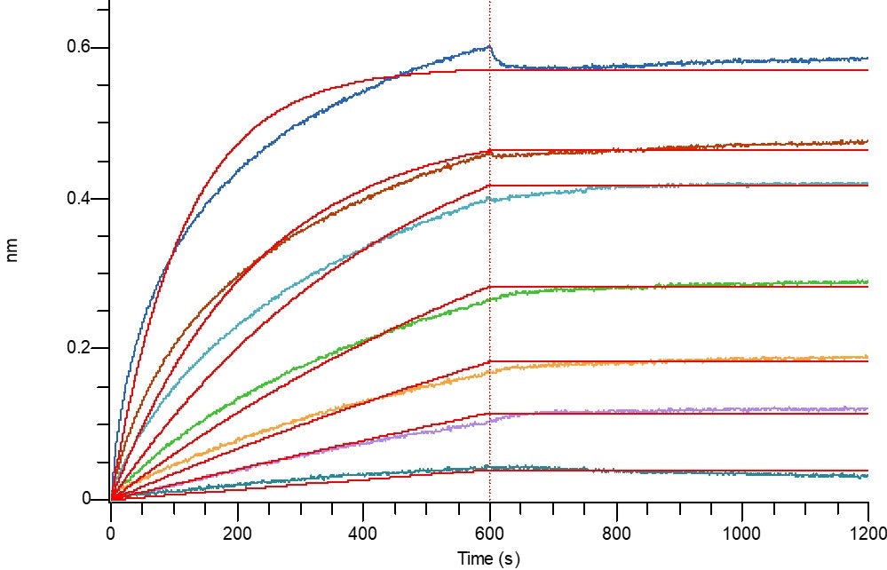 Biotinylated Human VEGFR2 (C-6His-Avi)