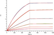 Biotinylated Human CD24 (C-Fc-Avi)