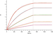 Biotinylated Human Nectin-4 (C-6His-Avi)