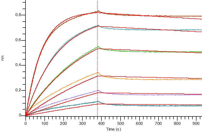 Biotinylated Human IL-17RA (C-Fc)