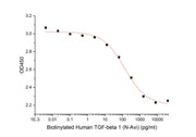 Biotinylated Human TGF-beta 1 (N-Avi)