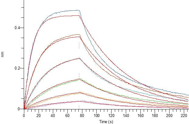 Recombinant Rhesus Macaque FOLR1 (C-6His)