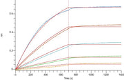Recombinant Human 4-1BBL (N-6His-Flag)