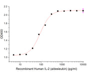 Recombinant Human IL-2 (aldesleukin)