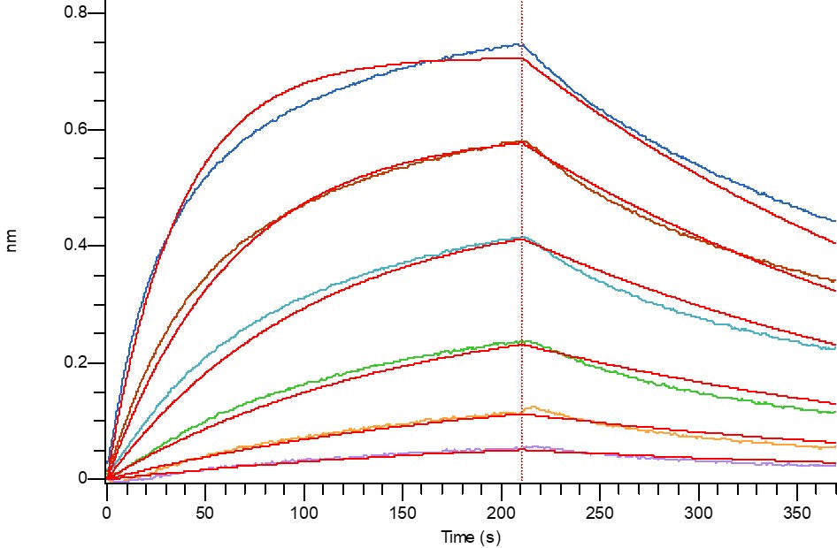 Recombinant Human Siglec-2 (C-6His)