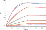 Recombinant Human CD47 (C-6His)