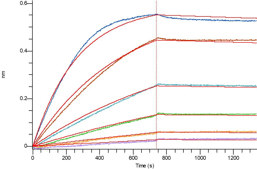 Recombinant Human CD47 (C-6His)