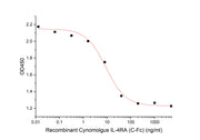 Recombinant Cynomolgus IL-4RA (C-Fc)