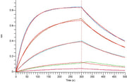 Recombinant Human PD-L2 (C-6His)