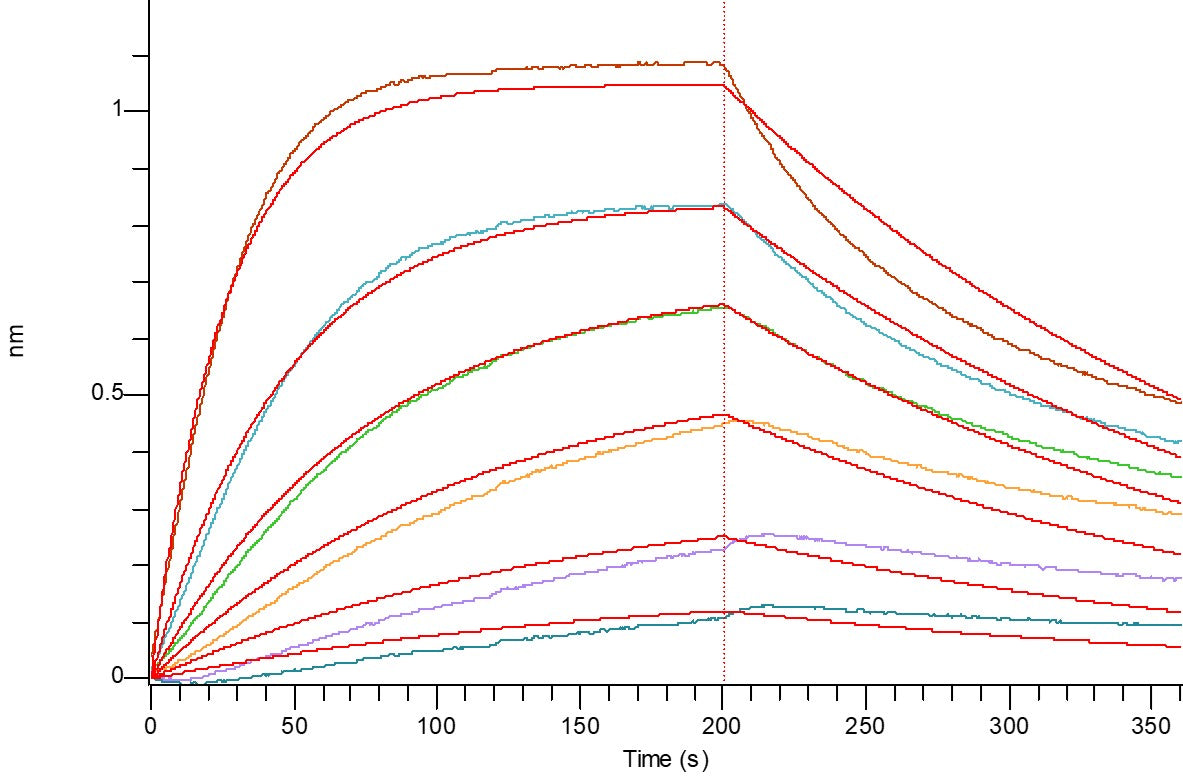 Recombinant Cynomolgus PD-L1 (C-Fc)