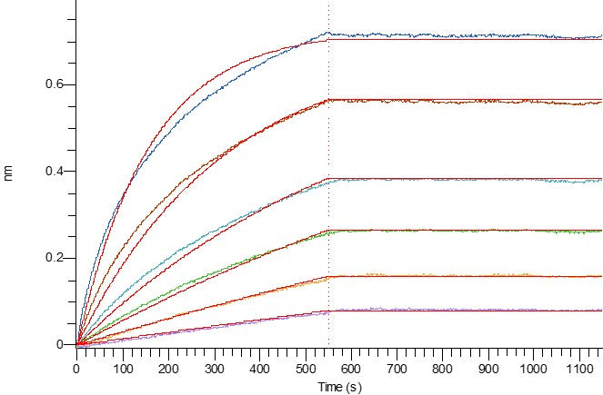 Recombinant Human VEGFR2 (C-6His)
