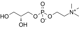 Choline Glycerophosphate
