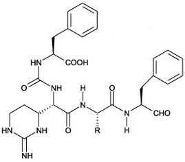 Chymostatin